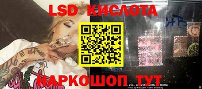 гидропоника Новодвинск