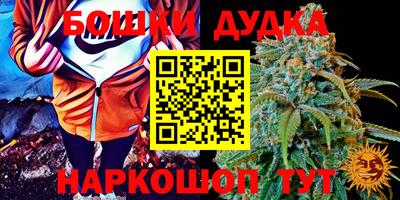 марки lsd Новозыбков