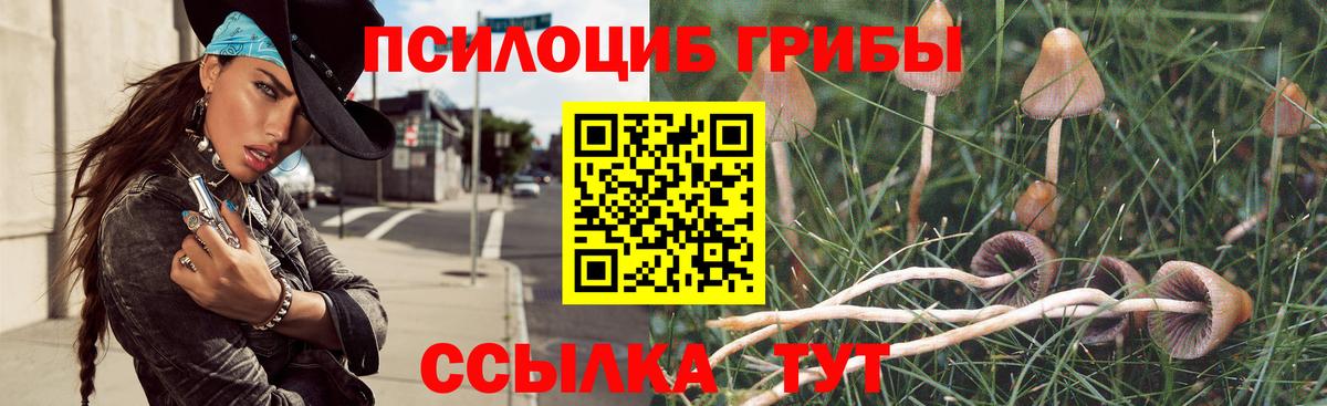 Галлюциногенные грибы мицелий  Вход с VPN  закладки  Галлюциногенные грибы Magic Shrooms  Сухой Лог 